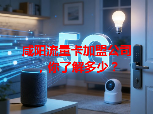 咸阳流量卡加盟公司，你了解多少？