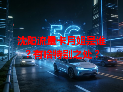 沈阳流量卡月姐是谁？有啥特别之处？