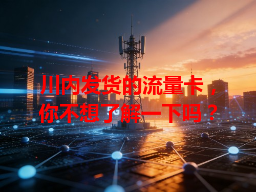 川内发货的流量卡，你不想了解一下吗？