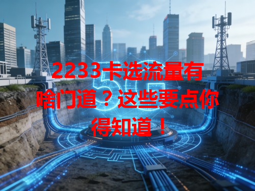 2233卡选流量有啥门道？这些要点你得知道！