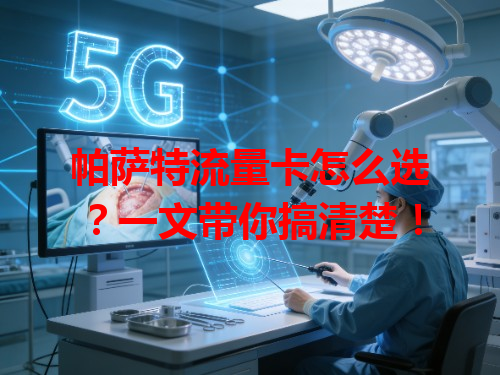 帕萨特流量卡怎么选？一文带你搞清楚！