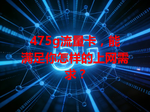 475g流量卡，能满足你怎样的上网需求？