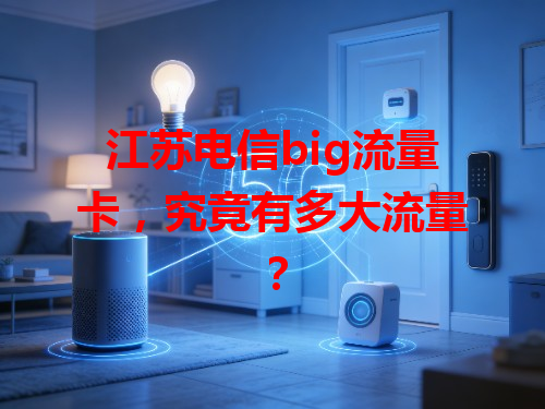 江苏电信big流量卡，究竟有多大流量？