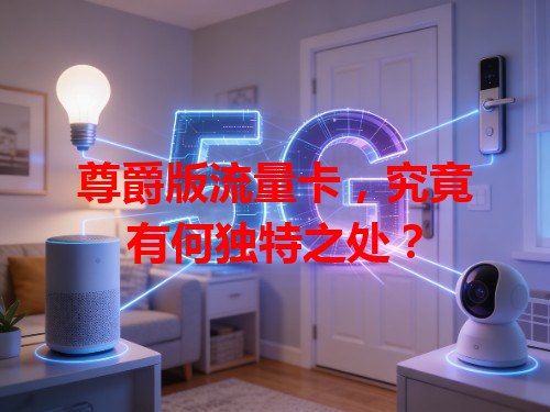 尊爵版流量卡，究竟有何独特之处？
