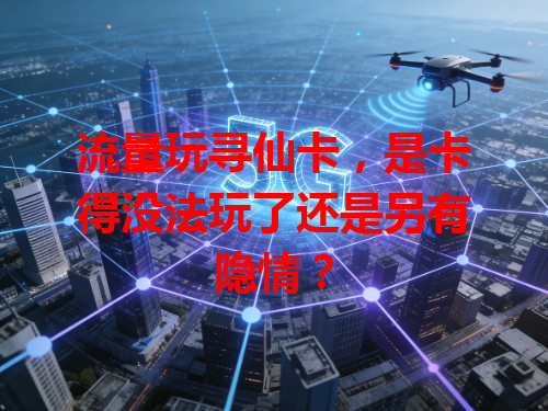 流量玩寻仙卡，是卡得没法玩了还是另有隐情？