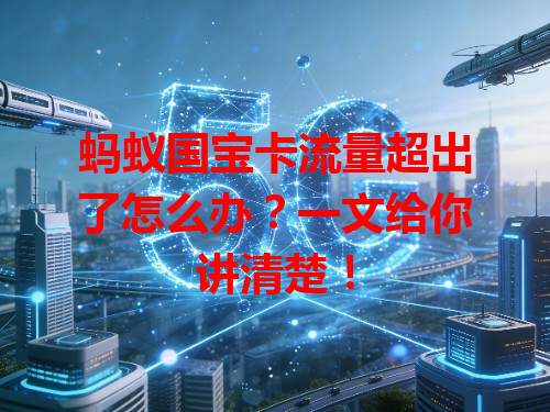 蚂蚁国宝卡流量超出了怎么办？一文给你讲清楚！