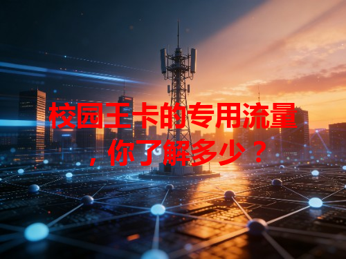 校园王卡的专用流量，你了解多少？