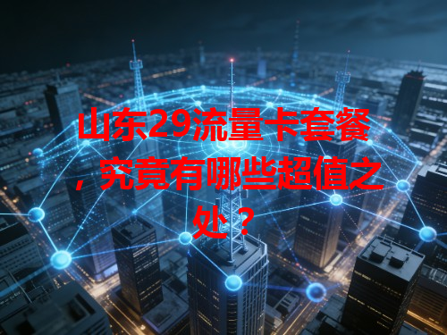 山东29流量卡套餐，究竟有哪些超值之处？