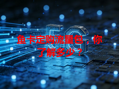 鱼卡定购流量包，你了解多少？