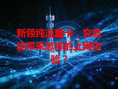 新领纯流量卡，究竟能带来怎样的上网体验？