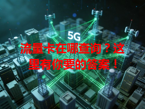 流量卡在哪查询？这里有你要的答案！