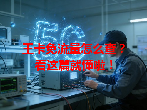 王卡免流量怎么查？看这篇就懂啦！