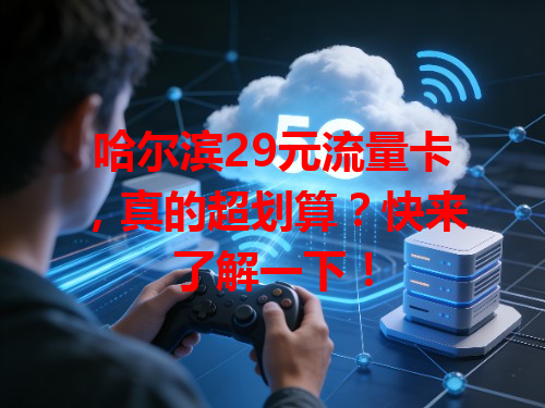 哈尔滨29元流量卡，真的超划算？快来了解一下！