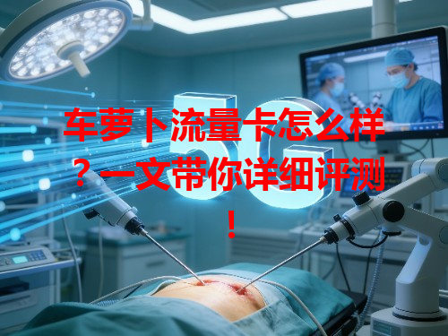 车萝卜流量卡怎么样？一文带你详细评测！