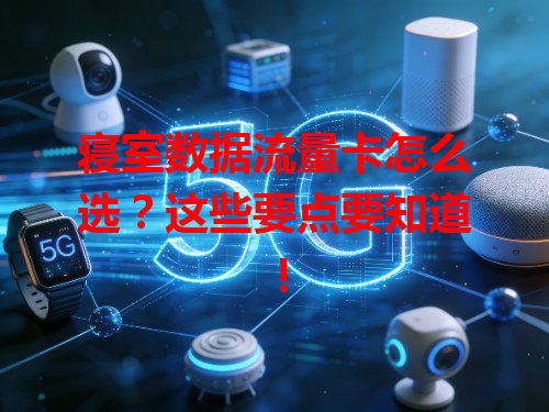 寝室数据流量卡怎么选？这些要点要知道！