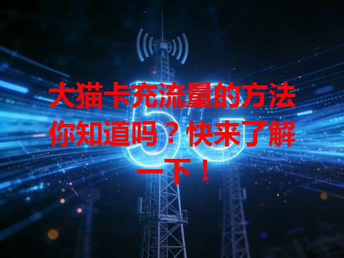 大猫卡充流量的方法你知道吗？快来了解一下！