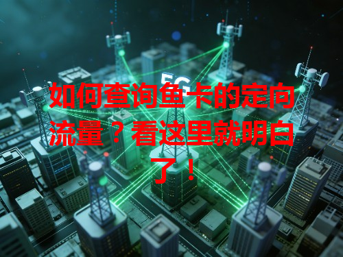如何查询鱼卡的定向流量？看这里就明白了！