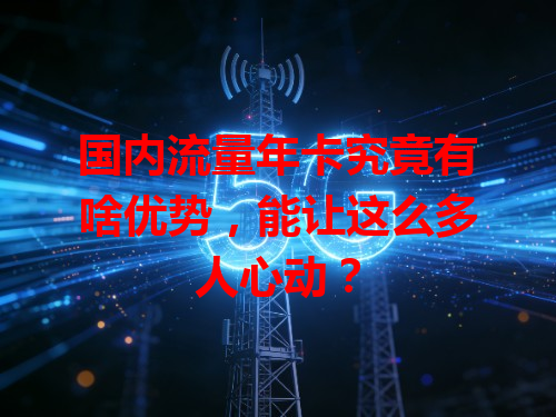 国内流量年卡究竟有啥优势，能让这么多人心动？