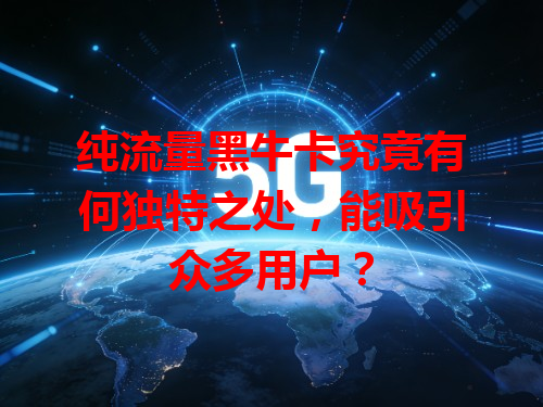 纯流量黑牛卡究竟有何独特之处，能吸引众多用户？