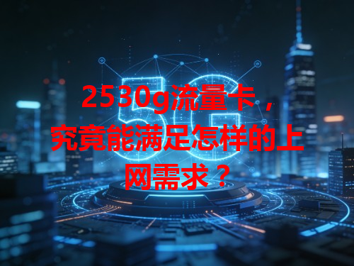 2530g流量卡，究竟能满足怎样的上网需求？