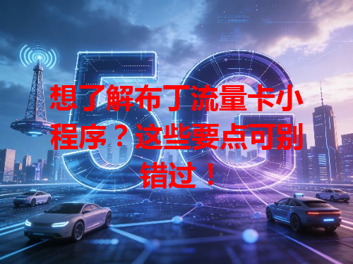 想了解布丁流量卡小程序？这些要点可别错过！