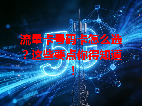 流量卡号码卡怎么选？这些要点你得知道！