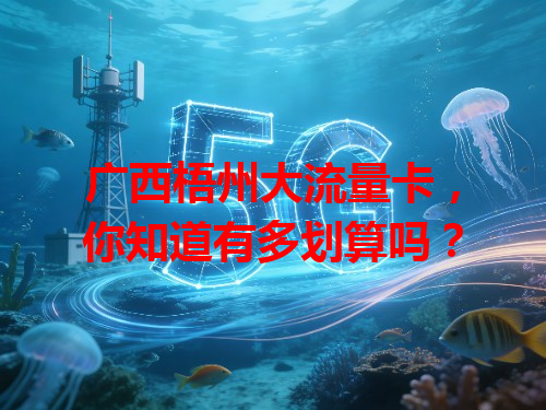广西梧州大流量卡，你知道有多划算吗？
