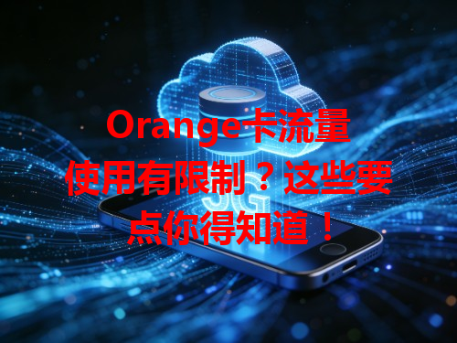 Orange卡流量使用有限制？这些要点你得知道！