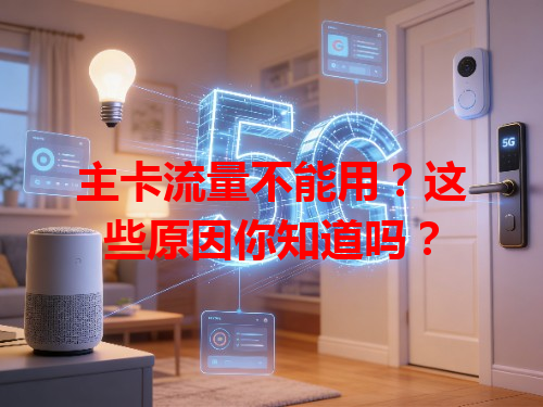 主卡流量不能用？这些原因你知道吗？