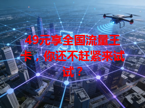 49元享全国流量王卡，你还不赶紧来试试？