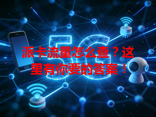 派卡流量怎么查？这里有你要的答案！