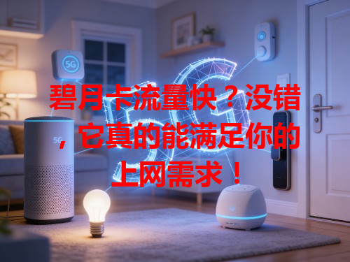 碧月卡流量快？没错，它真的能满足你的上网需求！