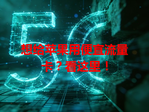 想给苹果用便宜流量卡？看这里！