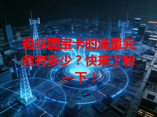 蚂蚁国宝卡的流量究竟有多少？快来了解一下！