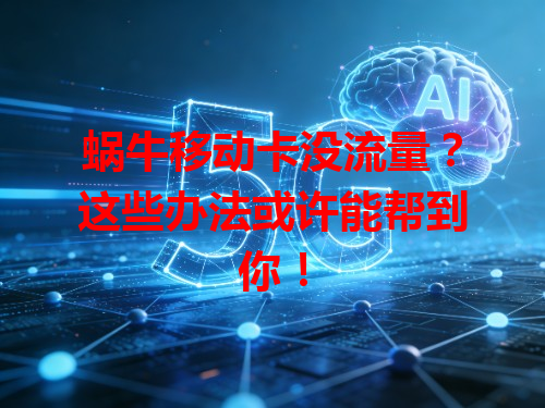 蜗牛移动卡没流量？这些办法或许能帮到你！