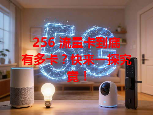 256 流量卡到底有多卡？快来一探究竟！