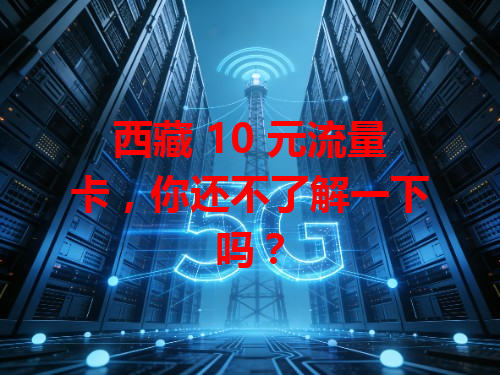 西藏 10 元流量卡，你还不了解一下吗？