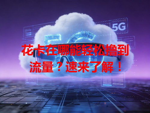 花卡在哪能轻松撸到流量？速来了解！
