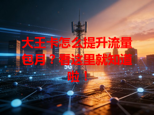 大王卡怎么提升流量包月？看这里就知道啦！