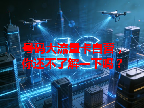 号码大流量卡自营，你还不了解一下吗？