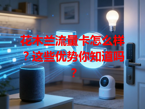 花木兰流量卡怎么样？这些优势你知道吗？