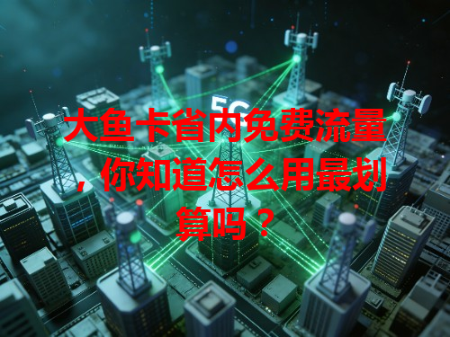 大鱼卡省内免费流量，你知道怎么用最划算吗？