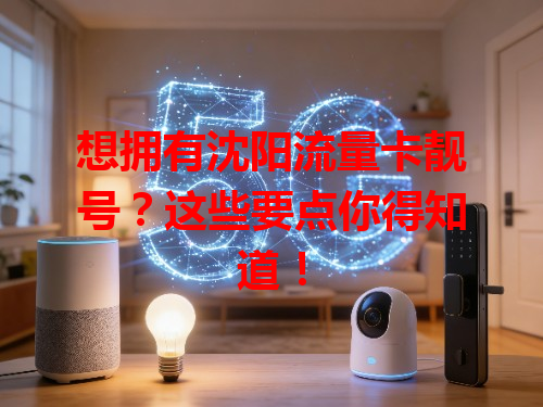 想拥有沈阳流量卡靓号？这些要点你得知道！