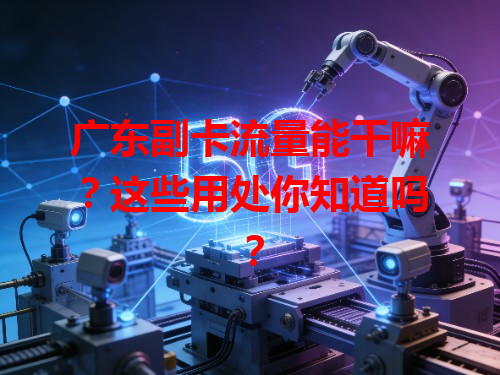 广东副卡流量能干嘛？这些用处你知道吗？