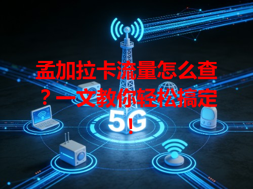 孟加拉卡流量怎么查？一文教你轻松搞定！