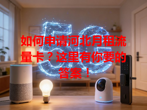 如何申请河北月租流量卡？这里有你要的答案！