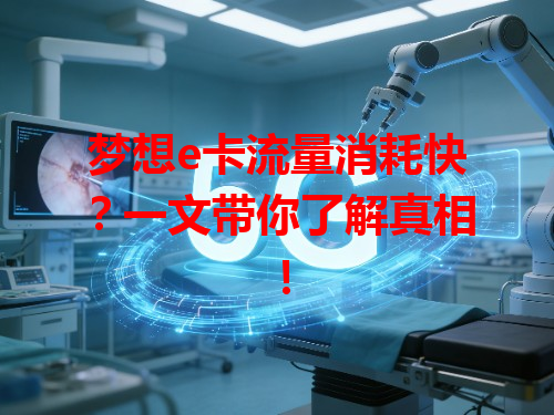 梦想e卡流量消耗快？一文带你了解真相！