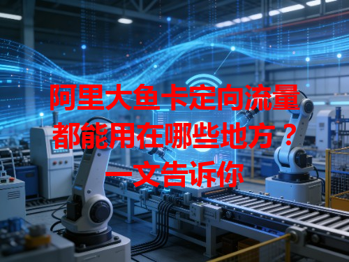 阿里大鱼卡定向流量都能用在哪些地方？一文告诉你