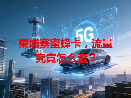 柬埔寨蜜蜂卡，流量究竟怎么查？