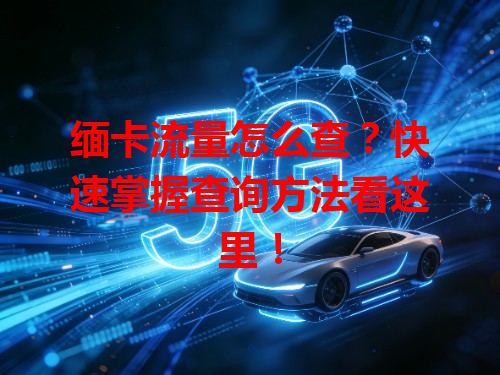 缅卡流量怎么查？快速掌握查询方法看这里！